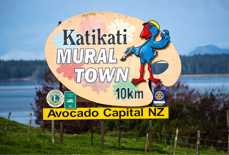 Town Centre Development