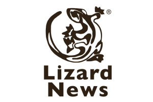 Partner - Lizard News